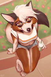 Size: 1200x1800 | Tagged: safe, artist:glopossum, oc, canine, fox, mammal, anthro, 2023, amber eyes, bottomwear, brown body, brown fur, clothes, cream body, cream fur, cream hair, crop top, cropped shirt, digital art, drink, ears, female, flower, fur, glasses, looking at you, midriff, outdoors, paws, plant, short shorts, shorts, sitting, solo, solo female, sunglasses, tail, tank top, topwear