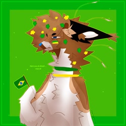 Size: 2048x2048 | Tagged: safe, artist:piwby peden, oc, mammal, brazil, brazilian flag, digital art, fur, fursona, portuguese text, text, translation request