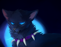 Size: 1993x1540 | Tagged: safe, artist:hioming, scourge (warrior cats), cat, feline, mammal, feral, warrior cats, 2013, abstract background, black body, black fur, blue eyes, blue sclera, collar, colored sclera, digital art, digital painting, fur, male, purple collar, solo, solo male, spiked collar