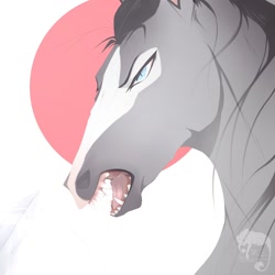 Size: 1280x1280 | Tagged: safe, artist:hiennady, equine, horse, mammal, feral, 2018, ambiguous gender, blue eyes, fur, gray body, gray fur, gray hair, hair, headshot, open mouth, sharp teeth, side view, solo, solo ambiguous, teeth, white body, white fur, white marking
