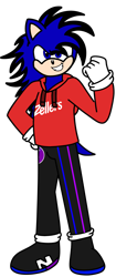 Size: 1076x2570 | Tagged: safe, artist:mrstheartist, oc, oc only, oc:soneb the hedgehog, hedgehog, mammal, anthro, plantigrade anthro, sega, sonic the hedgehog (series), base used, black pants, looking at you, male, red hoodie, simple background, solo, solo male, transparent background, zellers