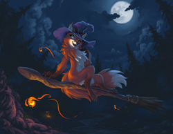 Size: 1244x963 | Tagged: safe, artist:choedan-kal, canine, fox, mammal, feral, broom, broom riding, brown body, brown fur, chest fluff, clothes, cream body, cream fur, digital art, ears, fluff, forest, fur, hat, headwear, magic, moon, night, outdoors, paws, red body, red fur, solo, tail, witch hat