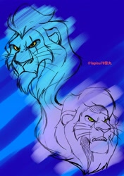 Size: 2079x2953 | Tagged: safe, artist:sasamaru_lion, mufasa (the lion king), scar (the lion king), big cat, feline, lion, mammal, feral, disney, the lion king, 2015, blue background, duo, duo male, eye scar, headshot, male, males only, scar, simple background, sketch