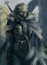 Size: 1000x1362 | Tagged: safe, artist:eyrri, blaidd (elden ring), canine, mammal, wolf, anthro, elden ring, armor, cape, clothes, detailed, digital art, digital painting (artwork), fromsoftware, fur, gray body, gray fur, male, one eye closed, outdoors, scar, solo, solo male, weapon, weapon on back