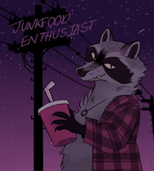 Size: 1800x2000 | Tagged: safe, artist:umbrellascribbles, mammal, procyonid, raccoon, feral, clothes, digital art, drink, ears, fur, gray body, gray fur, jewelry, looking at you, necklace, night, outdoors, power lines, shirt, solo, stars, text, topwear