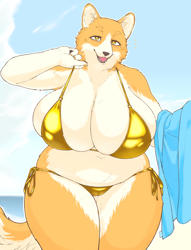 Size: 850x1113 | Tagged: suggestive, artist:amad no moto, oc, oc only, canine, dog, mammal, shiba inu, anthro, 2023, beach, belly button, bikini, black nose, breasts, clothes, detailed background, digital art, ears, eyelashes, female, fur, gold bikini, huge breasts, looking at you, micro bikini, open mouth, pose, slightly chubby, solo, solo female, swimsuit, tail, tongue, towel