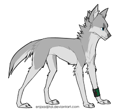 Size: 2281x1987 | Tagged: safe, artist:dethscript, oc, oc only, canine, mammal, feral, 2016, countershading, fur, gray body, gray fur, male, simple background, solo, solo male, standing, transparent background