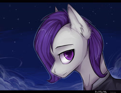 Size: 3000x2305 | Tagged: safe, artist:dethscript, oc, oc only, equine, mammal, pony, feral, hasbro, my little pony, 2016, detailed background, hair, male, purple eyes, purple hair, shaded, side view, solo, solo male