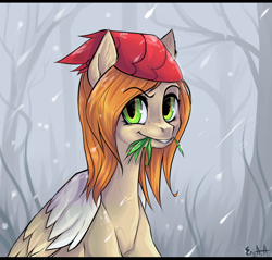 Size: 2500x2394 | Tagged: safe, artist:dethscript, oc, oc only, equine, fictional species, mammal, pegasus, pony, feral, hasbro, my little pony, 2016, clothes, commission, cream body, cream fur, detailed background, female, fur, grass, green eyes, hat, headwear, holding, mouth hold, outdoors, plant, smiling, snow, solo, solo female, tree