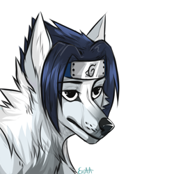 Size: 2000x2000 | Tagged: safe, artist:dethscript, oc, oc only, canine, mammal, feral, naruto (series), black eyes, black hair, black nose, clothes, dogified, fur, gray body, gray fur, hair, headband, headwear, male, sasuke uchiha (naruto), simple background, solo, solo male, unamused, white background