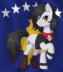 Size: 1266x1444 | Tagged: safe, artist:skysorbett, oc, oc only, oc:double m, earth pony, equine, fictional species, mammal, pony, feral, hasbro, my little pony, 2023, bell, bell collar, black hair, black mane, black tail, boots, brown eyes, clothes, collar, flag, hair, jacket, kosovan flag, kosovo, looking at you, male, mane, shoes, smiling, smiling at you, solo, solo male, stallion, tail, topwear