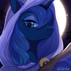 Size: 2048x2048 | Tagged: safe, artist:tabithaqu, princess luna (mlp), equine, mammal, pony, feral, friendship is magic, hasbro, my little pony, 2023, blue body, blue eyes, blue hair, bust, clothes, dark blue body, dark blue hair, hair, hood, horn, long hair, looking at you, moon, night, night sky, outdoors, plant, portrait, signature, sky, staff