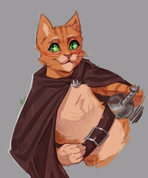 Size: 2676x3222 | Tagged: safe, artist:alisonandhope, puss in boots (dreamworks), cat, feline, mammal, anthro, dreamworks animation, shrek, 2023, belt, black eyes, brown belt, brown cape, bust, cape, clothes, colored sclera, countershade fur, countershading, cream body, cream fur, digital art, eyebrows, fur, gray background, green sclera, half-length portrait, high res, male, melee weapon, orange body, orange ears, orange fur, portrait, red nose, simple background, smiling, solo, solo male, sword, tan body, tan countershading, tan eyebrows, tan fur, tan inner ear, weapon, whiskers