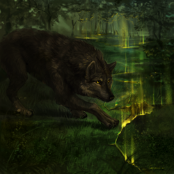 Size: 3000x3000 | Tagged: safe, artist:mirtrud, canine, mammal, wolf, feral, lifelike feral, 2015, ambiguous gender, detailed background, digital art, digital painting, non-sapient, realistic, solo, solo ambiguous