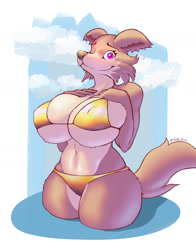 Size: 1349x1724 | Tagged: safe, artist:battleorca, juno (beastars), canine, mammal, wolf, anthro, beastars, 2023, beach, belly button, bikini, black nose, breasts, cheek fluff, clothes, detailed background, digital art, ears, eyelashes, female, fluff, gold bikini, huge breasts, nipple outline, ocean, partially submerged, pose, solo, solo female, swimsuit, tail, thighs, water, wide hips