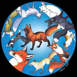 Size: 1275x1275 | Tagged: safe, artist:rgibson, canine, fox, mammal, feral, 2019, female, group, male, wheel
