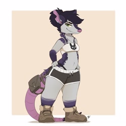 Size: 2500x2500 | Tagged: safe, artist:louart, mammal, rat, rodent, anthro, boots, bottomwear, clothes, crop top, digital art, ears, female, fur, gray body, gray fur, green eyes, hair, looking at you, murine, purple body, purple fur, shoes, short shorts, shorts, signature, simple background, solo, solo female, standing, tail, tail pouch, tank top, topwear