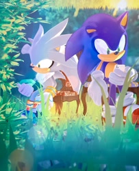 Size: 1667x2048 | Tagged: safe, artist:tolemim, silver the hedgehog (sonic), sonic the hedgehog (sonic), hedgehog, mammal, sega, sonic the hedgehog (series), 2023, chaos emerald, duo, duo male, forest, male, males only