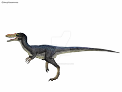 Size: 1024x768 | Tagged: safe, artist:cisiopurple, dinosaur, theropod, feral, 2014, ambiguous gender, deviantart watermark, non-sapient, qianzhousaurus, realistic, side view, simple background, solo, solo ambiguous, text, watermark, white background