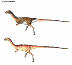 Size: 939x851 | Tagged: safe, artist:cisiopurple, dinosaur, theropod, feral, 2014, ambiguous gender, ambiguous only, duo, duo ambiguous, elaphrosaurus, non-sapient, realistic, side view, simple background, text, white background