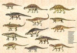 Size: 1024x714 | Tagged: safe, artist:cisiopurple, ankylosaurus, dinosaur, reptile, feral, 2014, acanthopholis, ahshishlepelta, aletopelta, ambiguous gender, ambiguous only, animantarx, anoplosaurus, antarctopelta, bissektipelta, deviantart watermark, group, lioningosaurus, niobrarasaurus, nodocephalosaurus, nodosaurus, non-sapient, pinacosaurus, polacanthus, realistic, side view, text, watermark