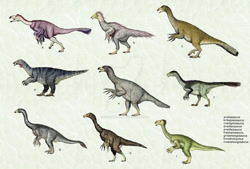 Size: 1024x691 | Tagged: safe, artist:cisiopurple, beipiaosaurus, dinosaur, feathered dinosaur, raptor, reptile, theropod, feral, 2015, alxasaurus, ambiguous gender, ambiguous only, deviantart watermark, enigmosaurus, erliansaurus, erlikosaurus, eshanosaurus, feathers, group, nanshiungosaurus, neimongosaurus, non-sapient, nothronychus, realistic, side view, text, watermark