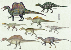 Size: 1024x726 | Tagged: safe, artist:cisiopurple, dinosaur, human, mammal, spinosaurus, theropod, feral, 2015, ambiguous gender, ambiguous only, baryonyx, deviantart watermark, group, ichthyovenator, irritator, non-sapient, ostafrikasaurus, oxalaia, realistic, siamosaurus, side view, suchomimus, text, watermark