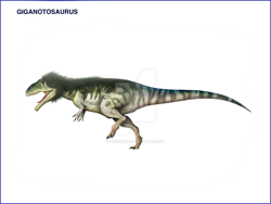 Size: 1024x768 | Tagged: safe, artist:cisiopurple, dinosaur, giganotosaurus, reptile, theropod, feral, 2015, ambiguous gender, deviantart watermark, non-sapient, realistic, side view, simple background, solo, solo ambiguous, text, watermark, white background