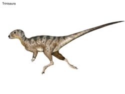 Size: 1024x768 | Tagged: safe, artist:cisiopurple, dinosaur, feathered dinosaur, theropod, feral, ambiguous gender, feathers, non-sapient, realistic, side view, simple background, solo, solo ambiguous, text, trinisaura, white background