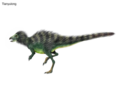 Size: 1024x768 | Tagged: safe, artist:cisiopurple, dinosaur, feathered dinosaur, theropod, feral, ambiguous gender, feathers, non-sapient, realistic, side view, simple background, solo, solo ambiguous, text, tianyulong, white background