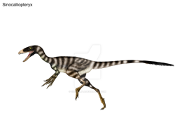 Size: 1024x768 | Tagged: safe, artist:cisiopurple, dinosaur, feathered dinosaur, theropod, feral, ambiguous gender, deviantart watermark, feathers, non-sapient, realistic, side view, simple background, sinocalliopteryx, solo, solo ambiguous, text, watermark, white background