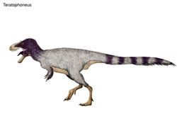 Size: 1024x768 | Tagged: safe, artist:cisiopurple, dinosaur, feathered dinosaur, theropod, feral, ambiguous gender, feathers, non-sapient, realistic, side view, simple background, solo, solo ambiguous, teratophoneus, text, white background