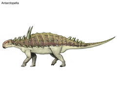 Size: 1024x768 | Tagged: safe, artist:cisiopurple, dinosaur, feral, ambiguous gender, antarctopelta, non-sapient, realistic, side view, simple background, solo, solo ambiguous, text, white background
