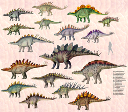 Size: 954x838 | Tagged: safe, artist:cisiopurple, dinosaur, human, mammal, reptile, stegosaurus, feral, lifelike feral, ambiguous gender, ambiguous only, chialingosaurus, chungkingosaurus, craterosaurus, dacentrurus, gigantspinosaurus, group, hesperosaurus, huayungosaurus, jiangjunosaurus, kentrosaurus, lexovisaurus, loricatosaurus, miragaia, non-sapient, parantodon, realistic, regnosaurus, side view, text, tuojiangosaurus, wuerhosaurus