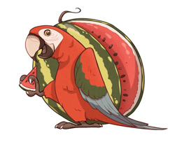 Size: 954x776 | Tagged: safe, artist:seanica, bird, macaw, parrot, feral, 2018, 2d, ambiguous gender, beak, cute, food, fruit, looking at you, open beak, open mouth, simple background, solo, solo ambiguous, watermelon, white background