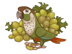 Size: 1032x774 | Tagged: safe, artist:seanica, bird, parrot, feral, 2018, 2d, ambiguous gender, cute, food, fruit, grapes, looking at you, simple background, solo, solo ambiguous, white background