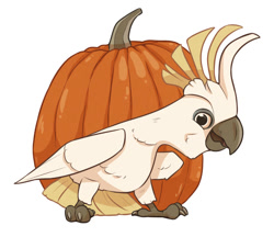Size: 900x776 | Tagged: safe, artist:seanica, bird, cockatoo, parrot, feral, 2018, 2d, ambiguous gender, cute, food, looking at you, pumpkin, simple background, solo, solo ambiguous, white background