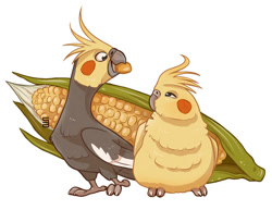 Size: 1004x776 | Tagged: safe, artist:seanica, bird, cockatiel, cockatoo, parrot, feral, 2018, 2d, ambiguous gender, ambiguous only, corn, cute, duo, duo ambiguous, food, looking at each other, simple background, white background