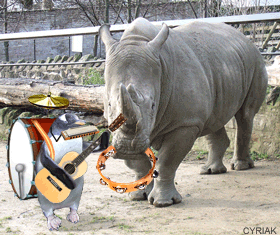 261250 - safe, artist:cyriak, bird, mammal, penguin, rhino ...