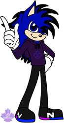 Size: 578x1108 | Tagged: safe, artist:mrstheartist, oc, oc only, oc:soneb the hedgehog, hedgehog, mammal, anthro, plantigrade anthro, sega, sonic the hedgehog (series), artwork, base used, black outline, blue eyes, clothes, digital art, hoodie, looking at you, male, solo, solo male, topwear, vector, video game