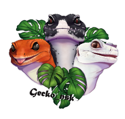 Size: 1963x1877 | Tagged: safe, artist:fihell, gecko, leopard gecko, lizard, reptile, feral, lifelike feral, 2023, 2d, ambiguous gender, ambiguous only, group, leaf, looking at you, non-sapient, open mouth, realistic, simple background, tongue, tongue out, transparent background, trio, trio ambiguous