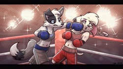 Size: 2560x1440 | Tagged: safe, alternate version, artist:deadyoung7, dolly (101 dalmatians), border collie, canine, collie, dalmatian, dog, mammal, anthro, 101 dalmatian street, 101 dalmatians, disney, boxing, boxing gloves, clothes, crop top, duo, female, gloves, punching, summer (101 dalmatian street), topwear