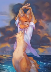 Size: 1060x1500 | Tagged: safe, artist:frayvuir, artist:reysi, diane foxington (the bad guys), canine, fox, mammal, red fox, anthro, dreamworks animation, the bad guys, 2023, 2d, arms above head, beach, bottomless, chest fluff, clothes, cloud, eyes closed, female, fluff, nudity, partial nudity, partially submerged, robe, solo, solo female, stretching, tail, vixen, water