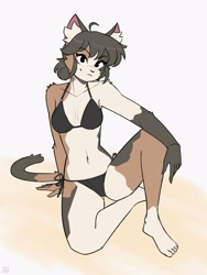 Size: 2480x3299 | Tagged: safe, artist:427deer, cat, feline, mammal, anthro, bikini, clothes, female, sitting, solo, solo female, swimsuit, tail