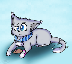 Size: 900x800 | Tagged: safe, artist:chibisa, oc, oc only, cat, feline, mammal, mouse, rodent, feral, 2013, ambiguous gender, blue eyes, collar, fur, gray body, gray fur, solo, solo ambiguous