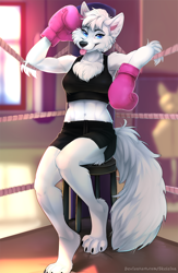 Size: 900x1383 | Tagged: safe, artist:skeleion, oc, oc only, arctic fox, canine, fox, mammal, anthro, digitigrade anthro, 2019, belly button, black nose, blep, bottomwear, boxing, boxing gloves, boxing ring, breasts, chair, chest fluff, clothes, commission, crop top, detailed background, digital art, ears, eyelashes, female, fluff, fur, gloves, hair, looking at you, pose, shorts, sitting, solo, solo female, sports bra, sports shorts, tail, thighs, tongue, tongue out, topwear, vixen, white body, white fur, white hair, wide hips