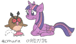 Size: 1024x596 | Tagged: safe, artist:cmara, twilight sparkle (mlp), alicorn, equine, fictional species, hoothoot, mammal, pony, feral, friendship is magic, hasbro, my little pony, nintendo, pokémon, 2018, 2d, ambiguous gender, duo, eyes closed, female, lying down, mare, prone, signature, simple background, smiling, traditional art, ungulate, white background