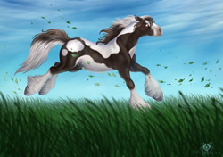 Size: 1064x751 | Tagged: safe, artist:dolphiana, equine, horse, mammal, feral, 2d, ambiguous gender, brown eyes, cloud, day, fur, galloping, grass, hair, hooves, multicolored body, multicolored fur, multicolored hair, multicolored mane, multicolored tail, running, signature, sky, solo, solo ambiguous, tail, two toned body, two toned fur, two toned hair, two toned tail, unshorn fetlocks