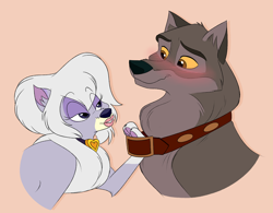 Size: 1226x956 | Tagged: safe, artist:cachicabra, balto (balto), dixe (balto), canine, dog, hybrid, mammal, pomeranian, wolf, wolfdog, feral, balto (series), 2019, 2d, blushing, bust, collar, commission, duo, duo male and female, female, lipstick, looking at each other, makeup, male, paw pads, paws, pink background, simple background