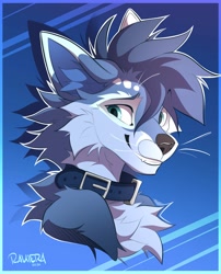 Size: 4850x6000 | Tagged: safe, artist:rakiera_claws, oc, oc only, oc:double colon, canine, fox, mammal, anthro, 2024, abstract background, absurd resolution, blue body, blue fur, blue hair, bust, cheek fluff, chest fluff, collar, commission, cyan eyes, ear fluff, fluff, fur, hair, headshot, male, neck fluff, shy, signature, solo, solo male, whiskers